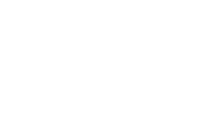 Het logo van TSE in het wit